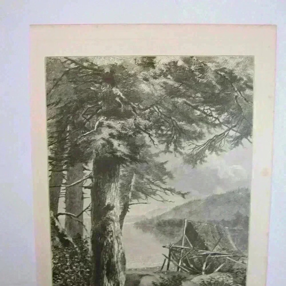 Art Print Hemlock Trees Lake Otsego New York Nature John A. Hows Antique 1874 - Picture 3 of 12